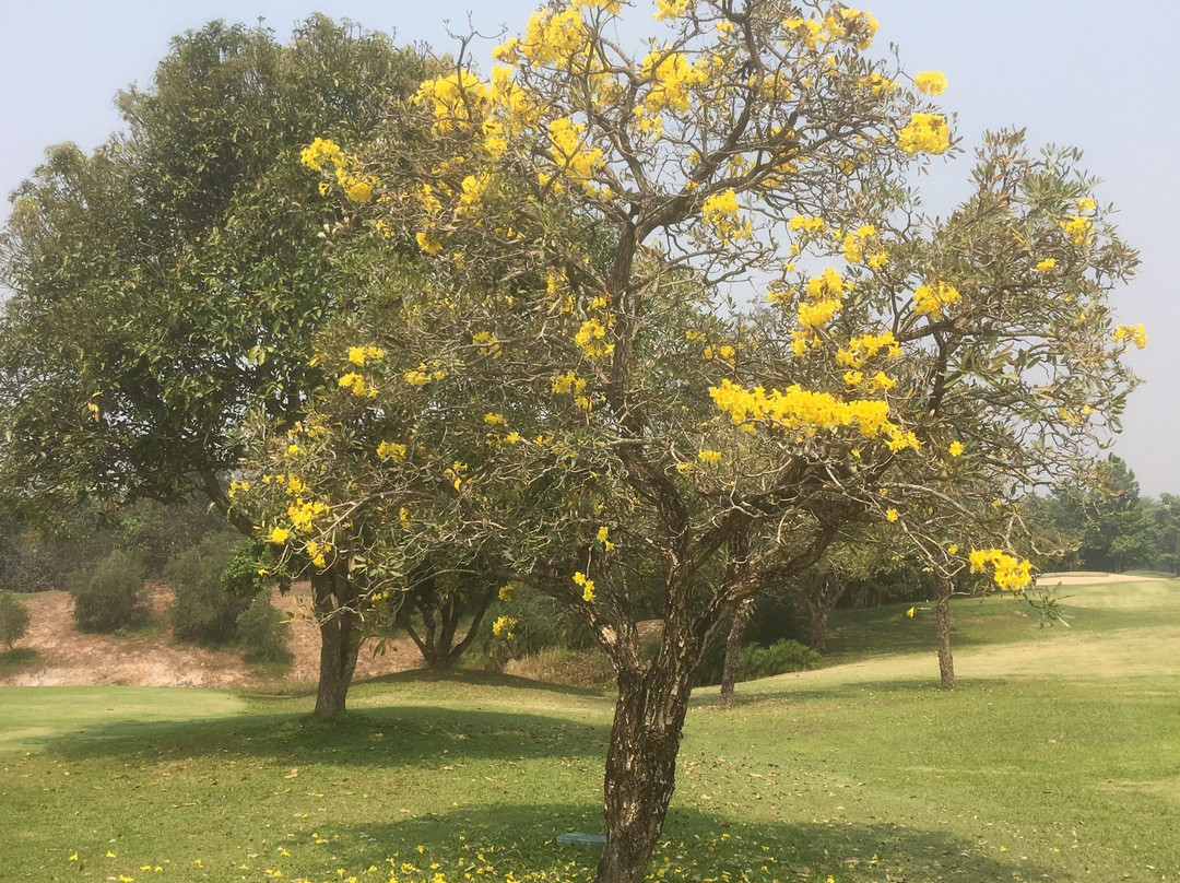 梅乔高尔夫俱乐部和度假村主图