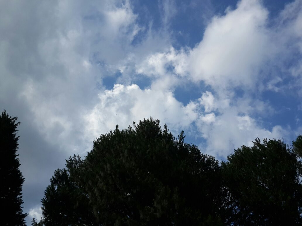 Swissland Cheese-巴尔戈万必去景点