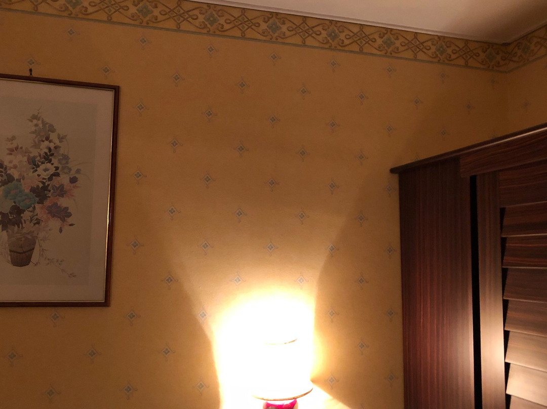 Leonardo Da Vinci Hotel主图