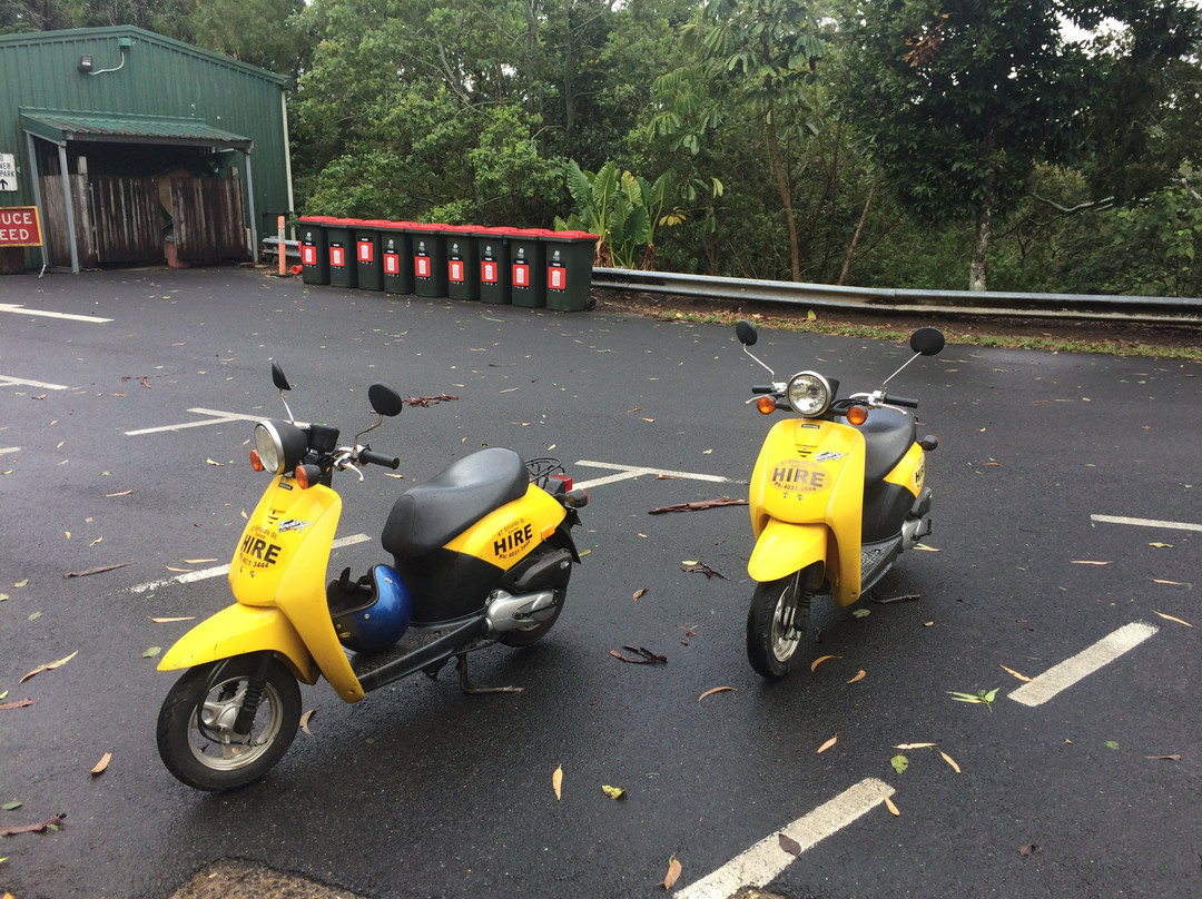 Cairns Scooter and Bicycle Hire-凯恩斯必去景点