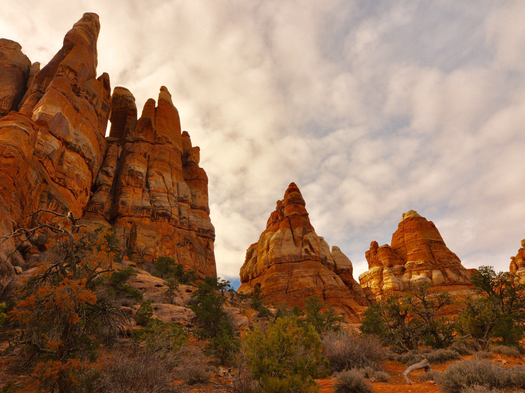 Chesler Park Loop Trail-Monticello必去景点
