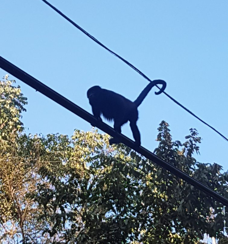 Bella Vista Mar主图