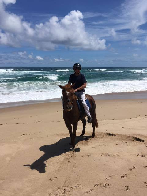 Cleland Equestrian Club-Saint Andrew Parish必去景点