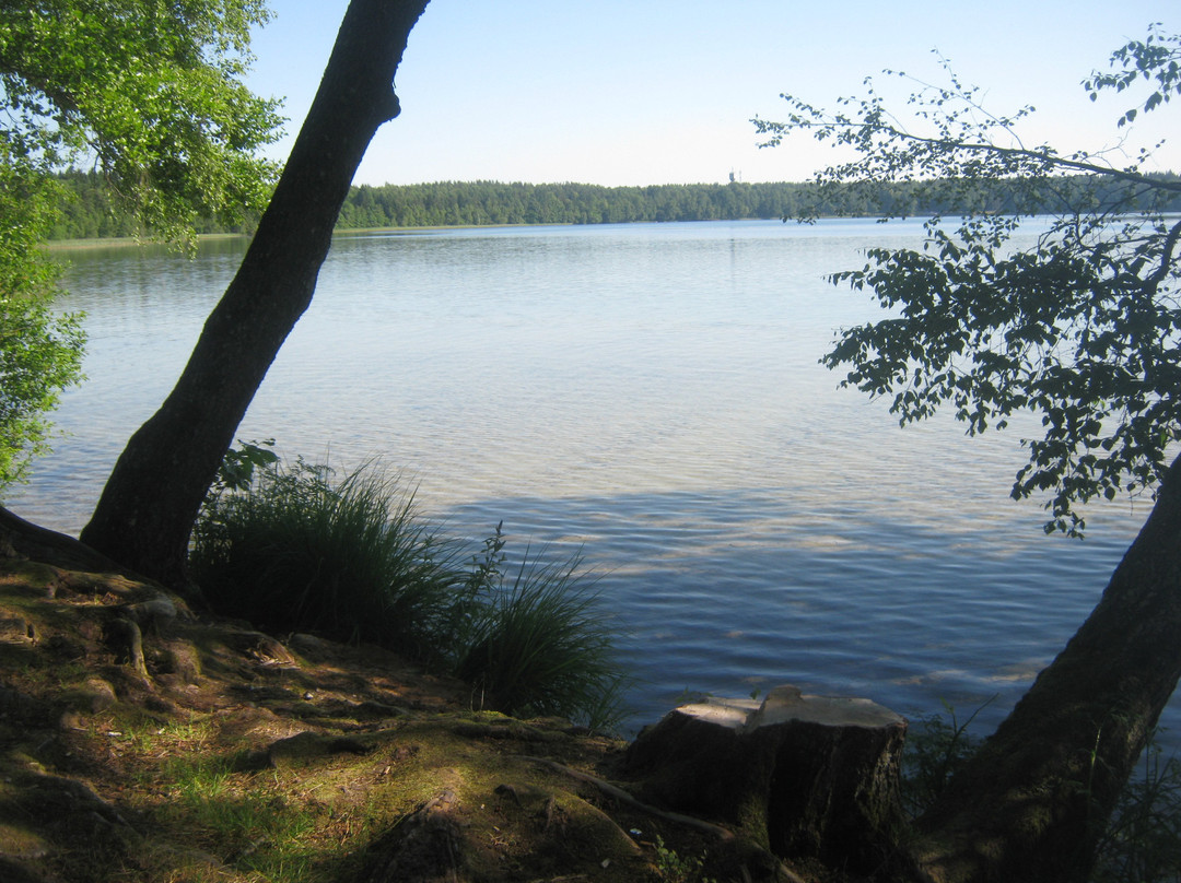 Lake Svityaz景点图片