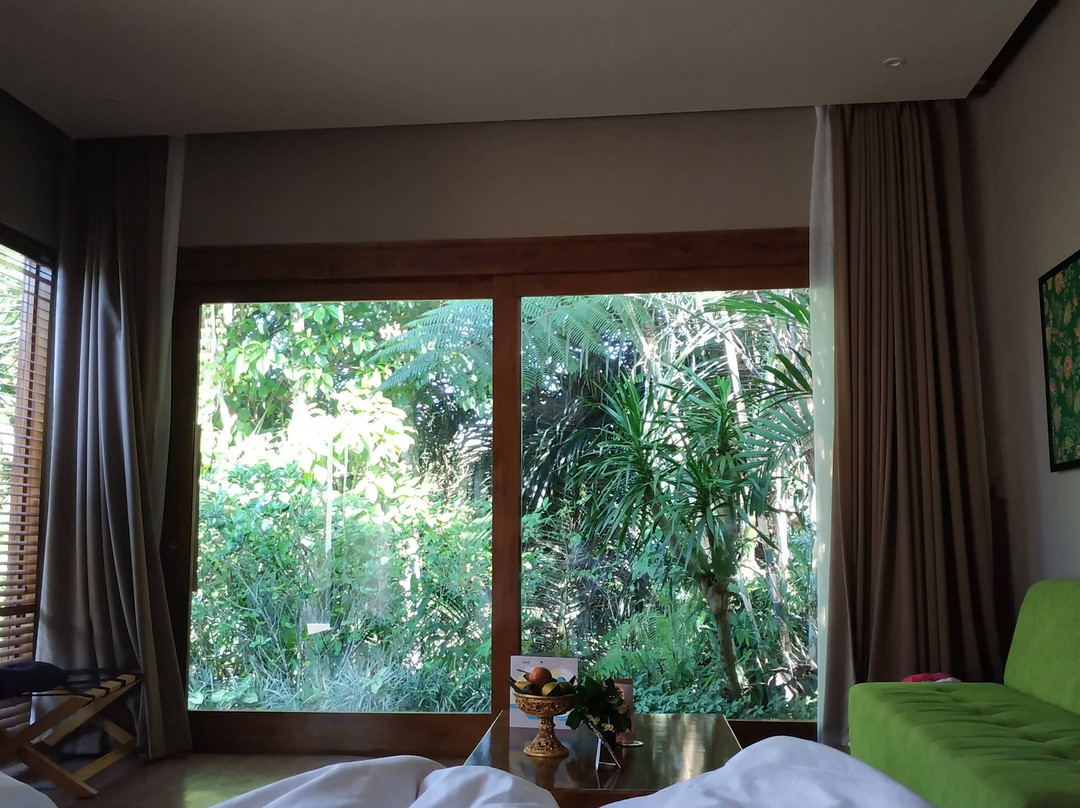 Senetan Villas & Spa Resort主图