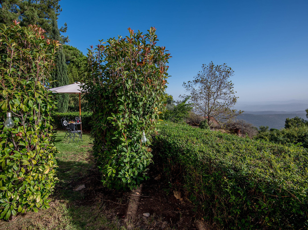 Samayim Vaaretz主图