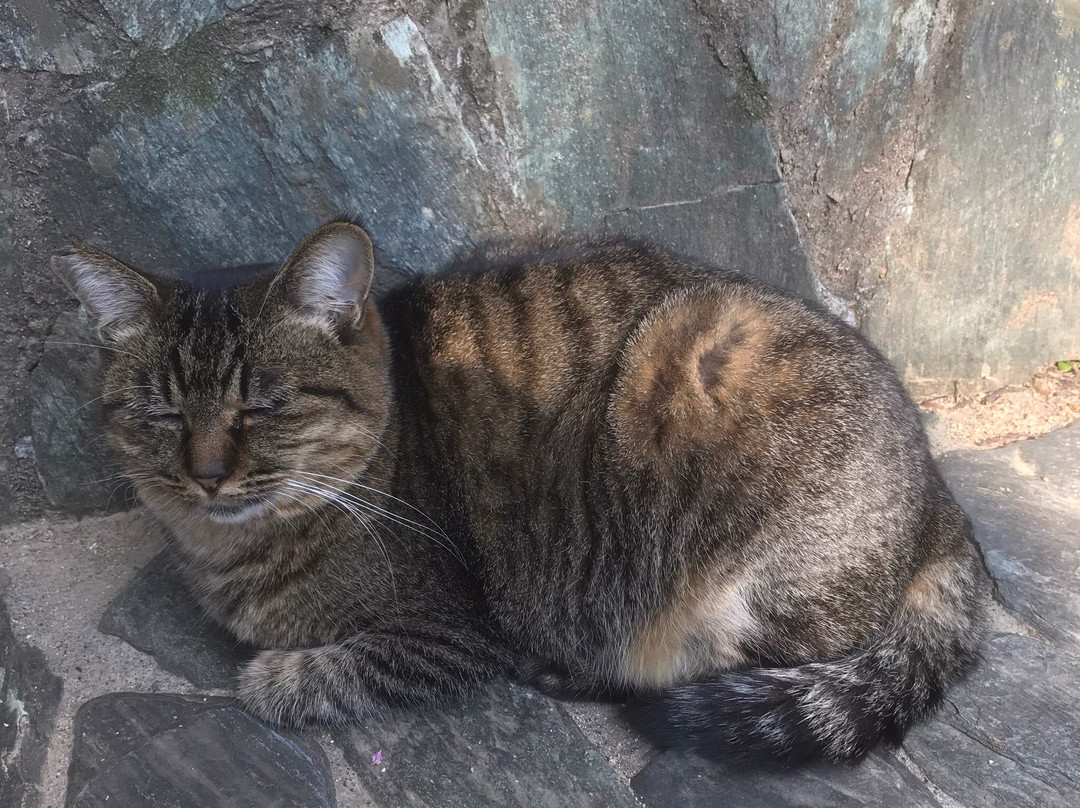 Oji Shrine-德岛市必去景点
