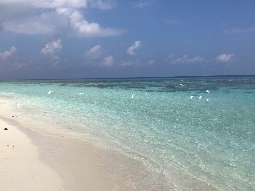 Aqua Blue Fehendhoo Dive & Watersports-Fehendhoo Island必去景点