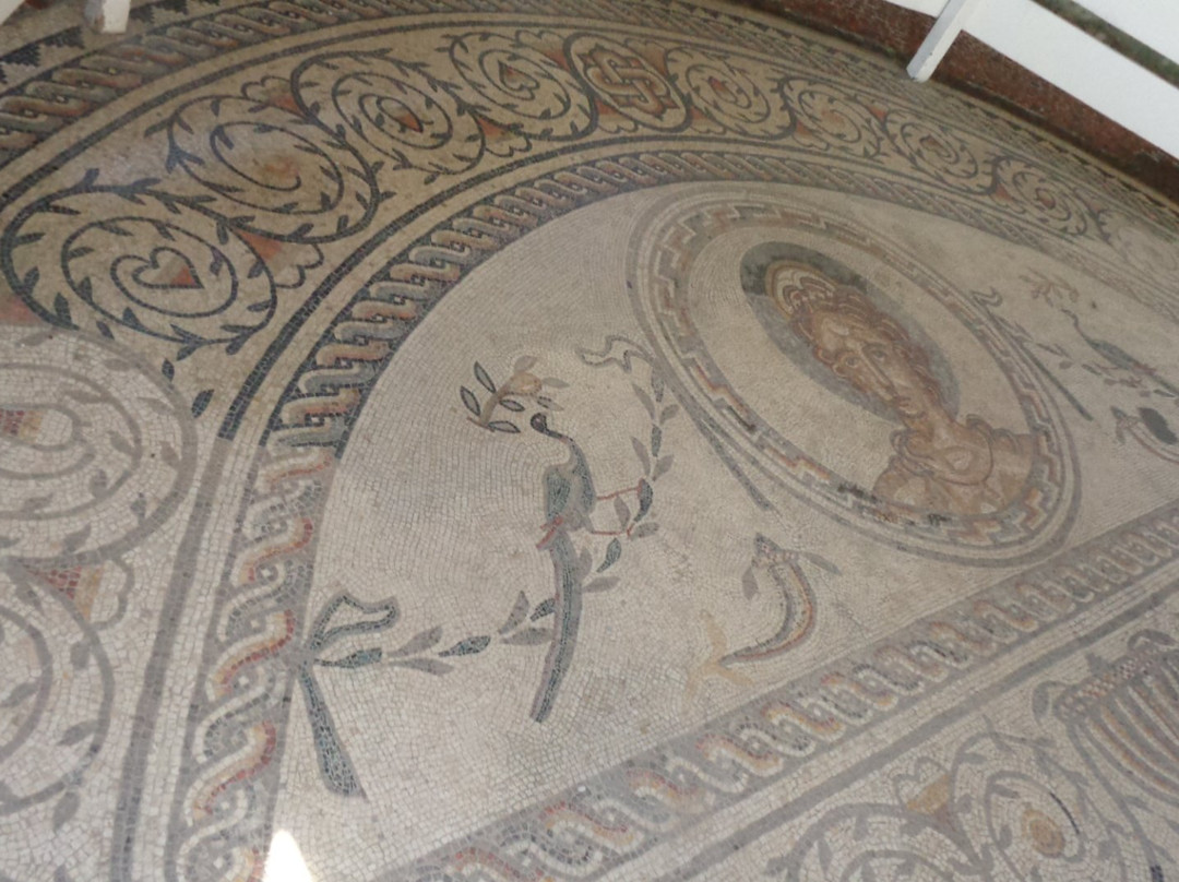 Bignor Roman Villa景点图片