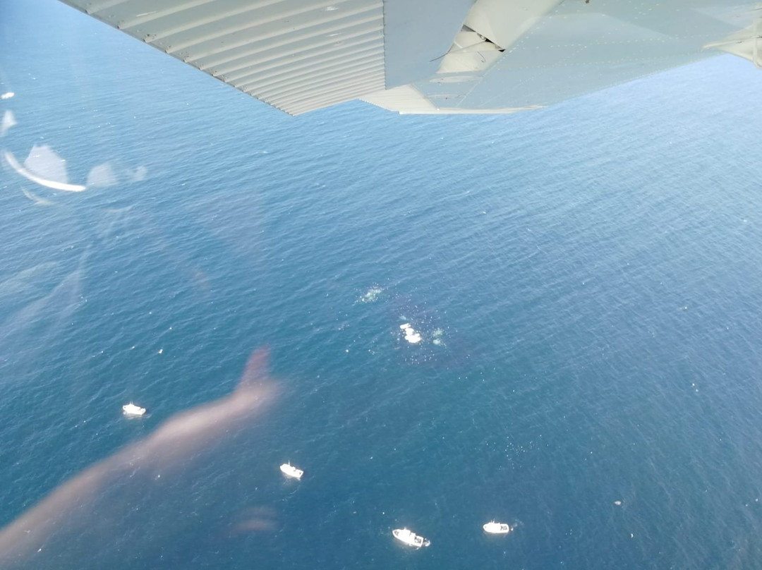 AeroDynamic Aviation-蒙特雷必去景点