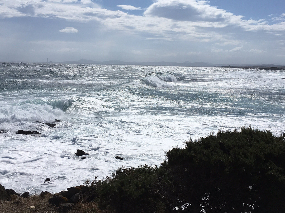 Spiaggia Cala Lupo-斯廷蒂诺必去景点