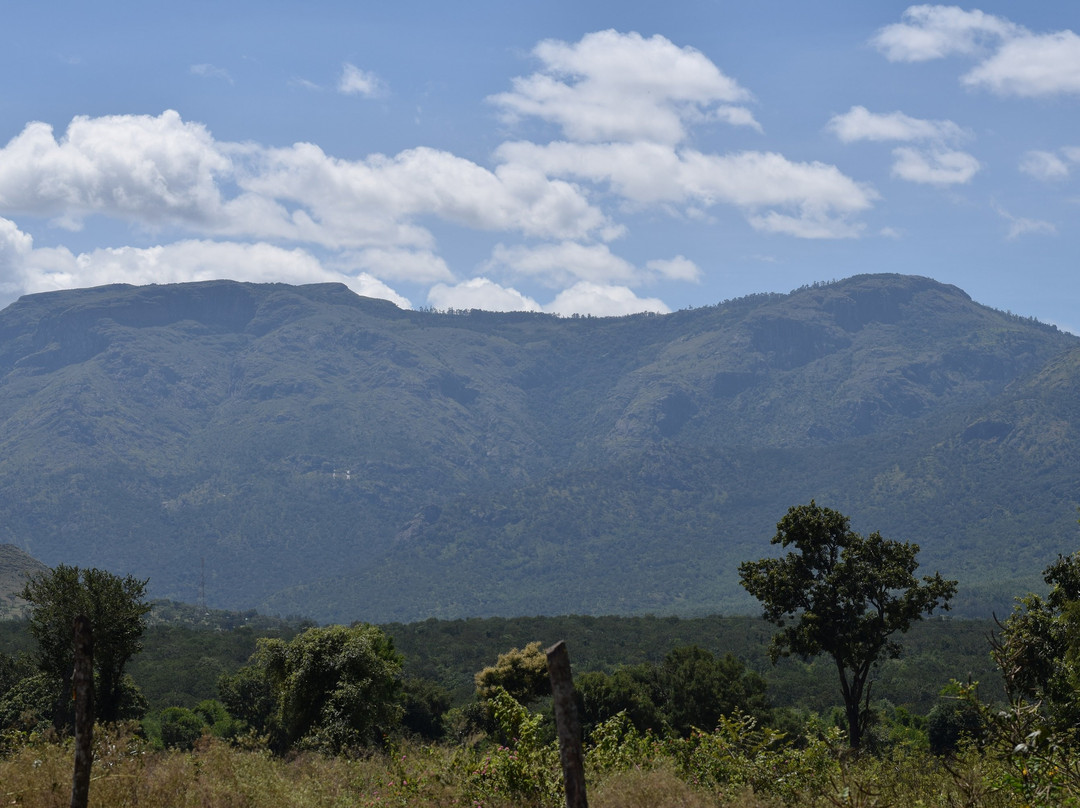 Misty Wood Resorts & Restaurants主图