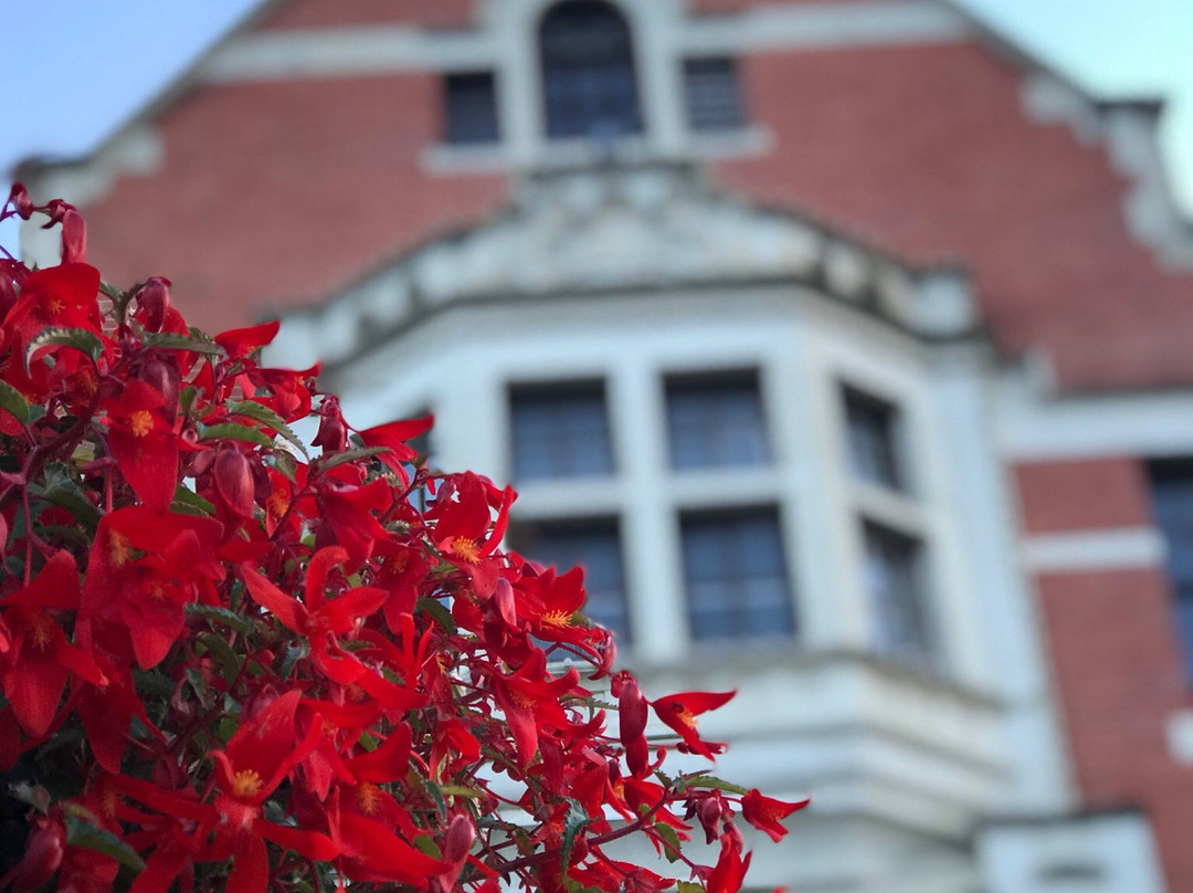 The Old Courthouse Cultural Centre-坎卢普斯必去景点