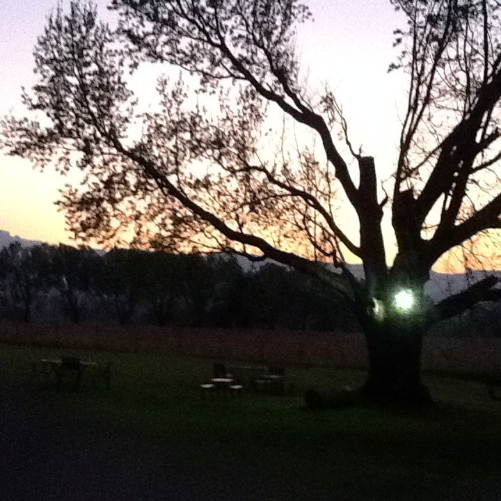 Ardmore Guest Farm主图