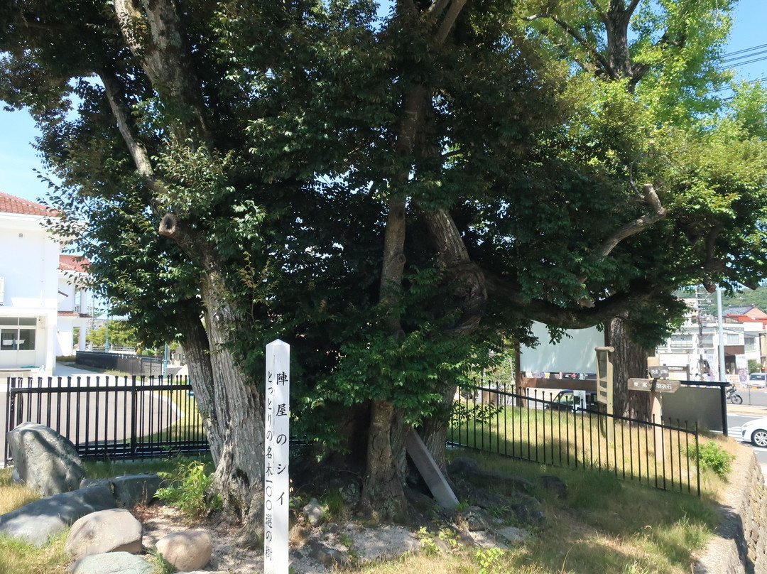 Kurayoshi City Seitoku Elementary School-仓吉市必去景点