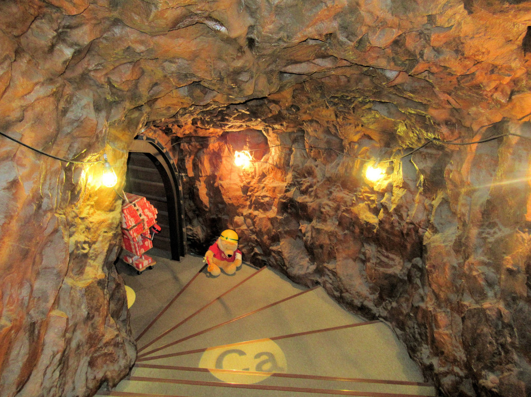 Toyohashi Museum of Natural Resources-丰桥市必去景点