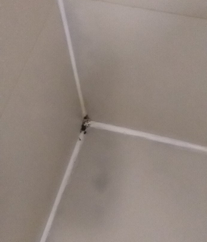 City Express By Marriott Saltillo Sur主图