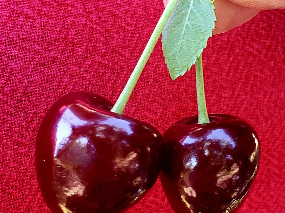 King Orchards景点图片