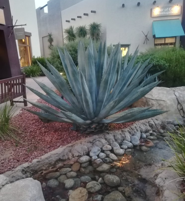 Viejas Outlet Center-Alpine必去景点