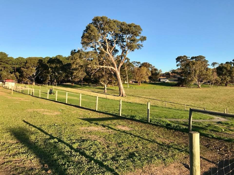 Hahndorf Farm Barn-汉道夫德国村必去景点