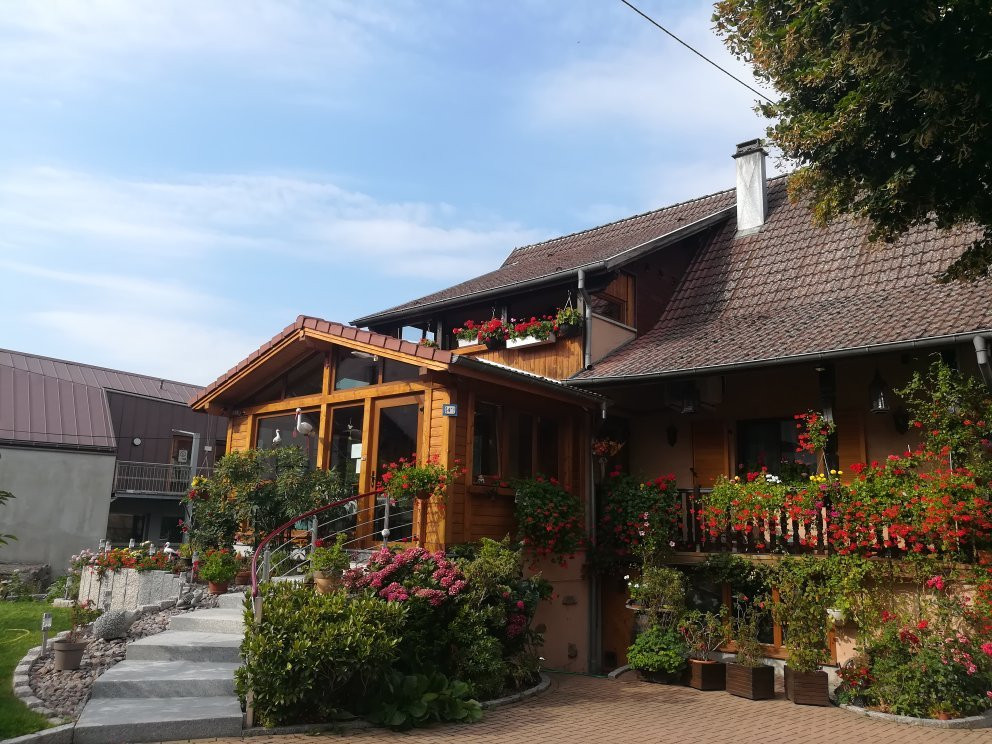 Soultzbach-les-Bains酒店住宿-Chambres d'Hotes Daniele et Herve