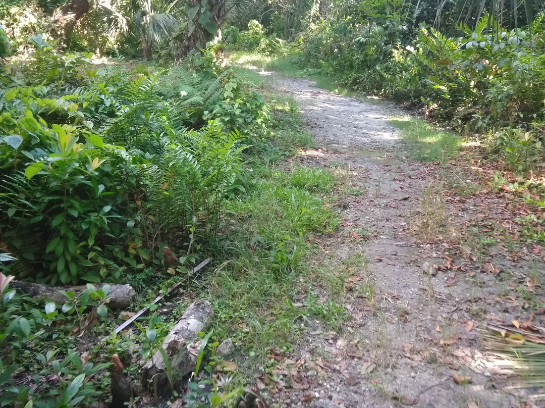 Easterlin Park-Oakland Park必去景点