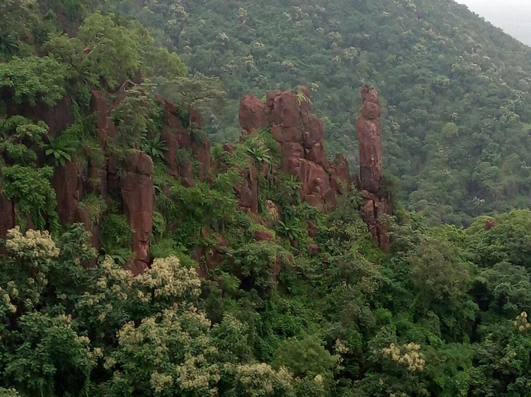 Gautala Autramghat Sanctuary景点图片