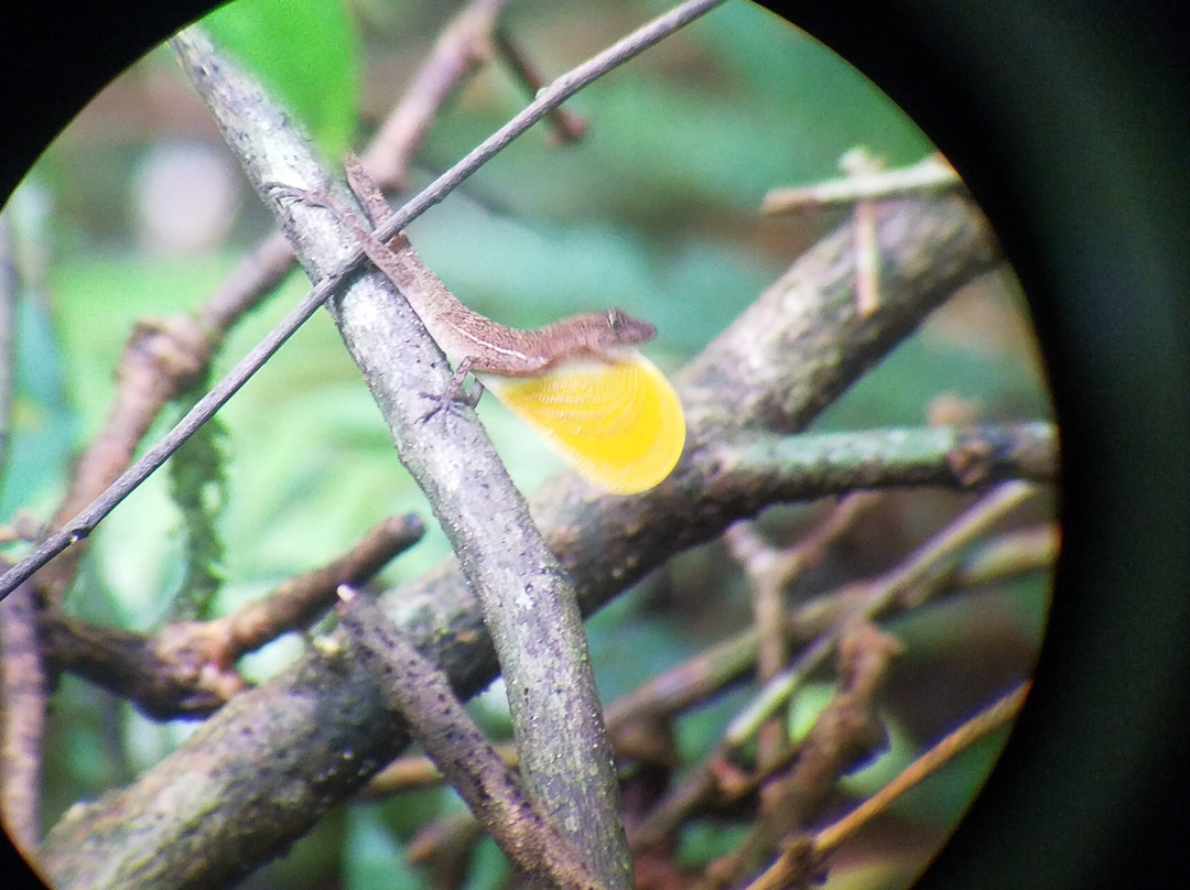 Toucan Travel -  Day Tours景点图片