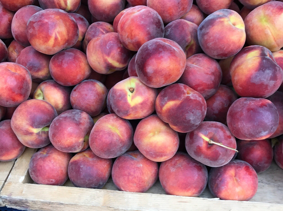 Kalamata Farmer's Market景点图片