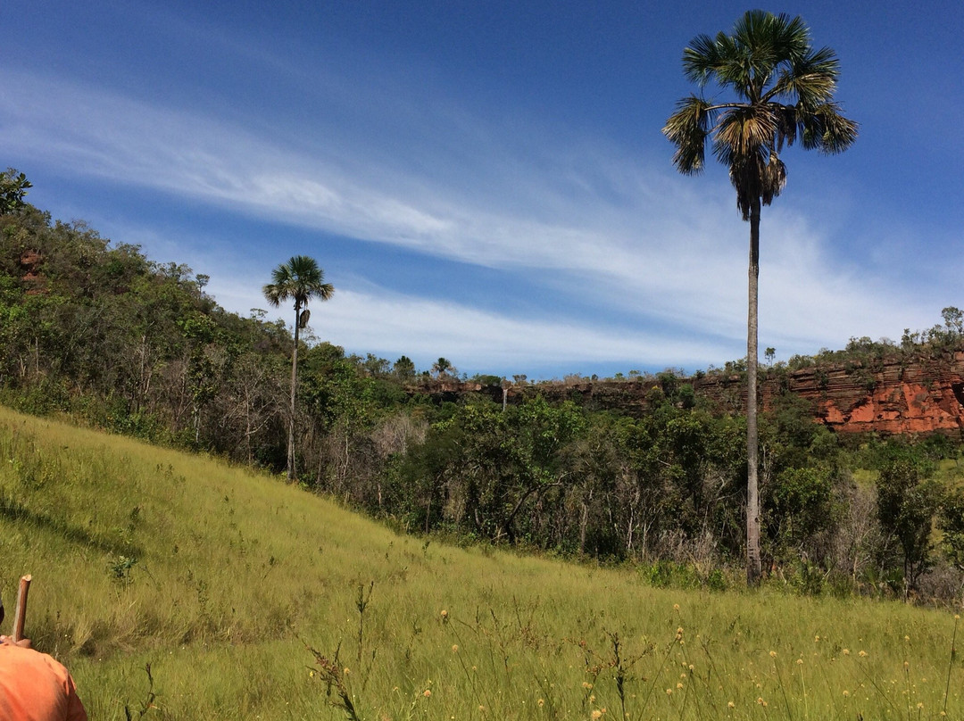 Cachoeira do Urubu Rei-Almas必去景点