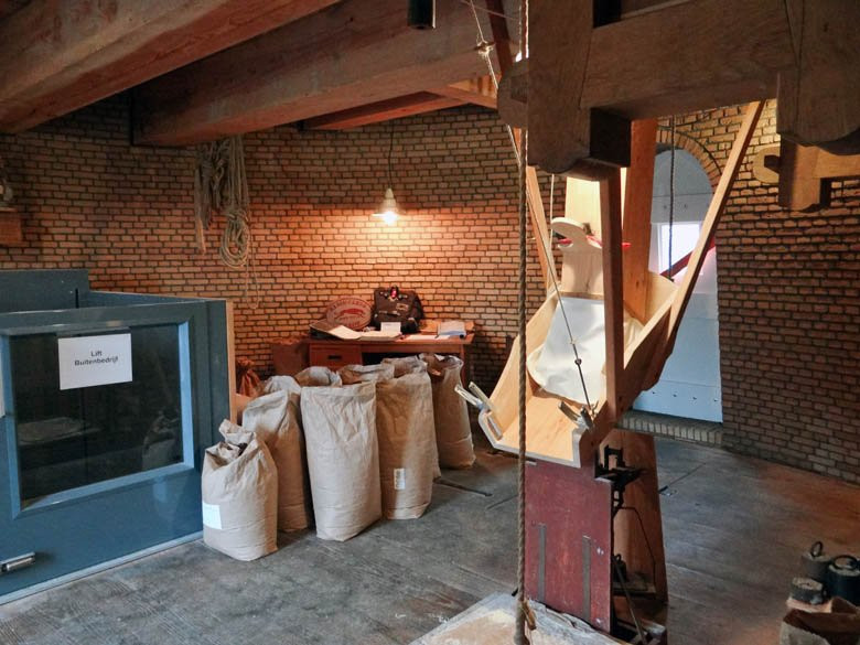 Stellingkorenmolen De Windhond-索斯特必去景点