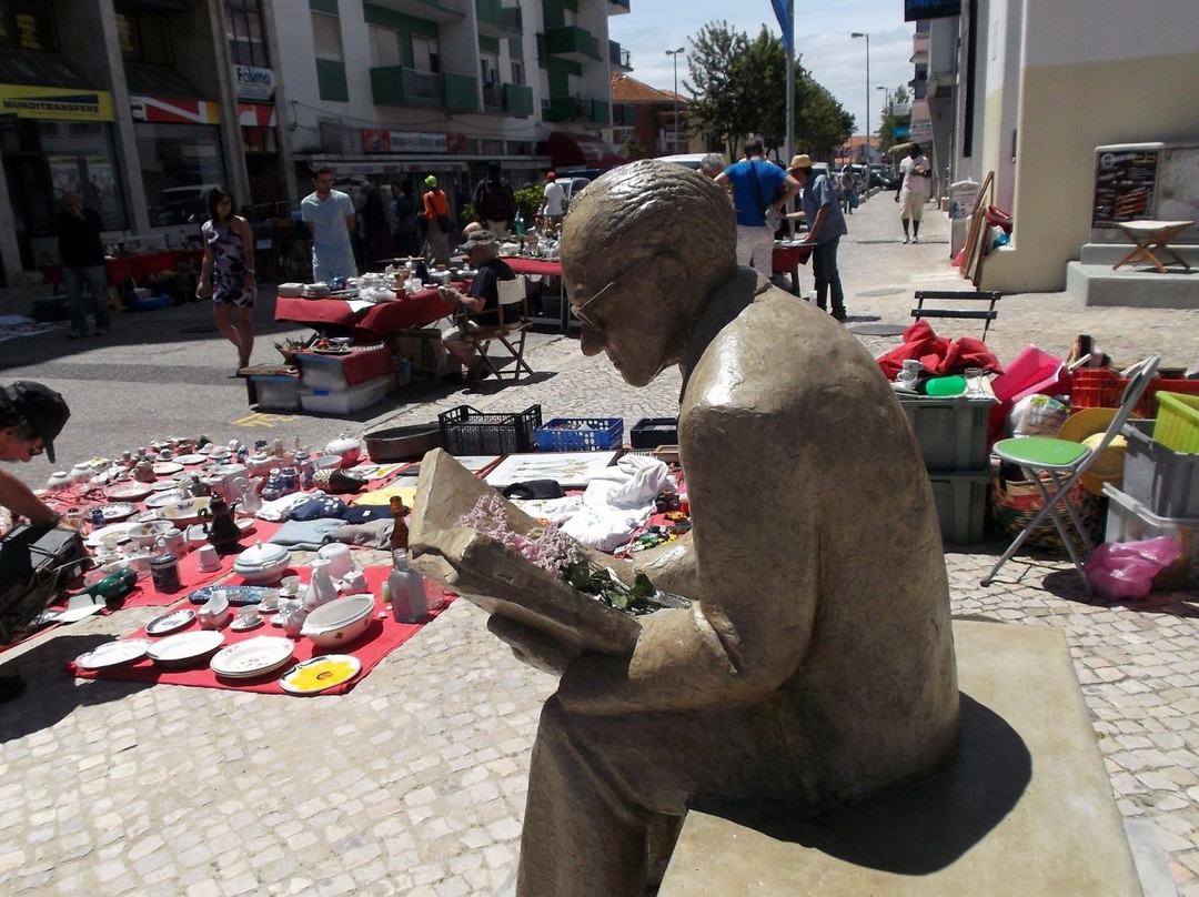 Estatua Dr. Horacio Louro景点图片