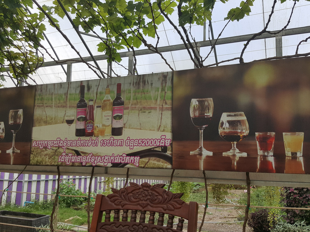 Chan Thay Chhoueng Plantation-马德望必去景点