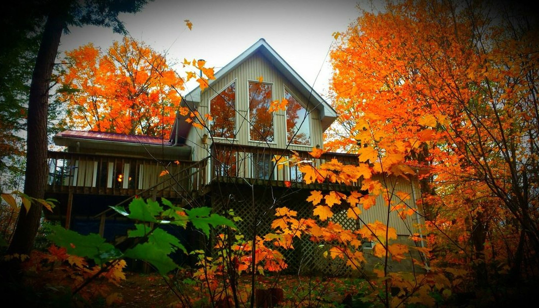 Pine Grove Resort