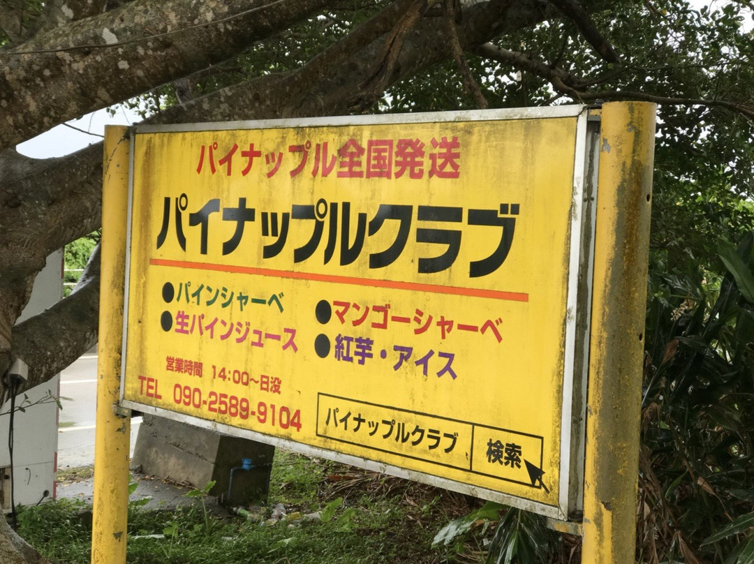 Ishigakijima Pineapple Club景点图片