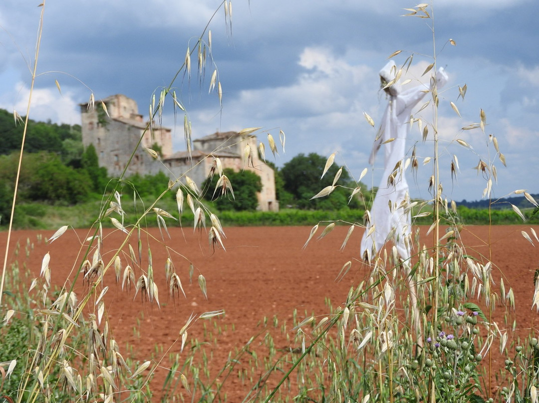 Ancaiano酒店住宿-黎莱斯博尔戈迪托雅诺酒店