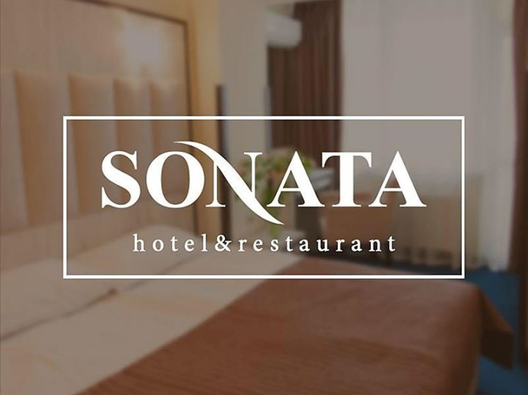 Sonata Hotel主图