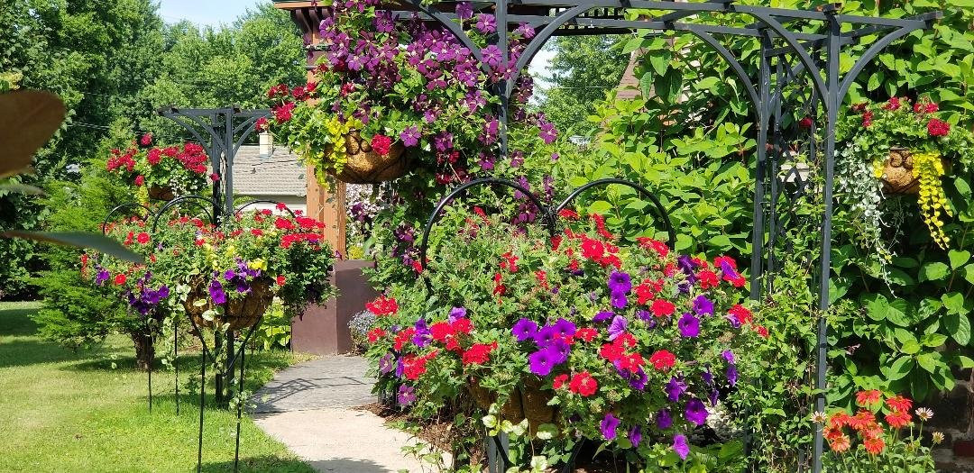 Le Chateau The Manor Bed and Breakfast主图