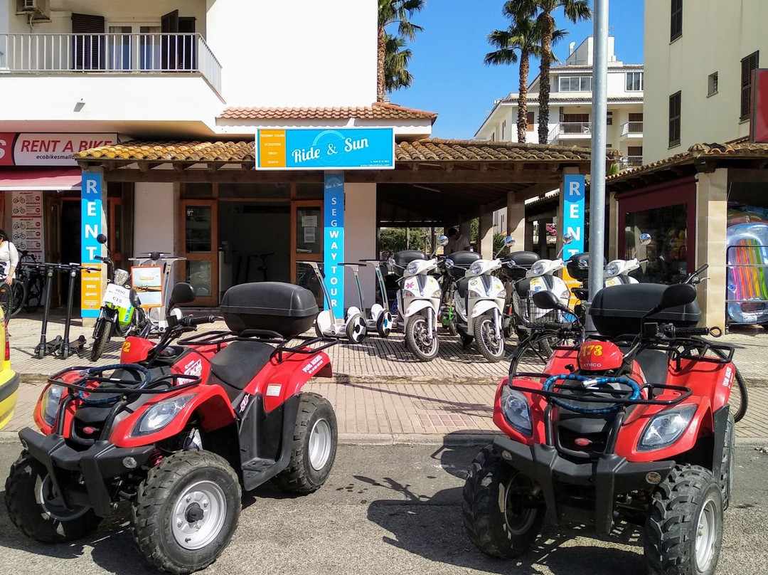 Buggy Mallorca Tours-阿尔库迪亚港必去景点