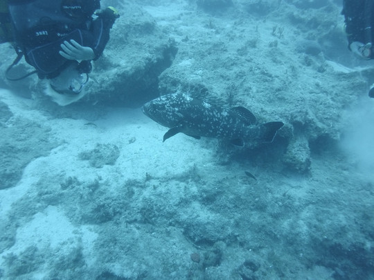 Mavi Diving-卡斯必去景点