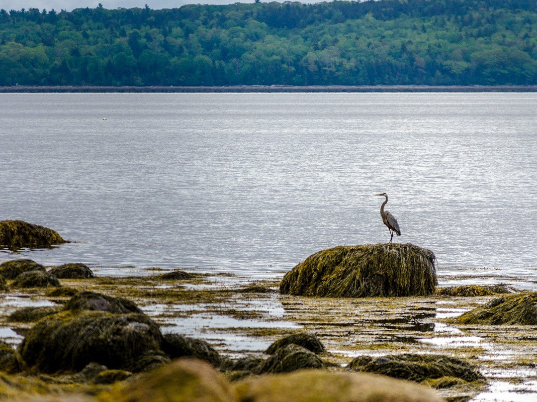 Searsport Shores Oceanfront Campground