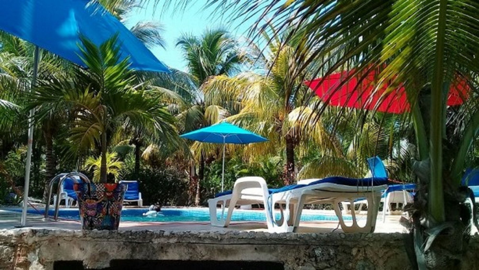 Villa Tortugas-官方