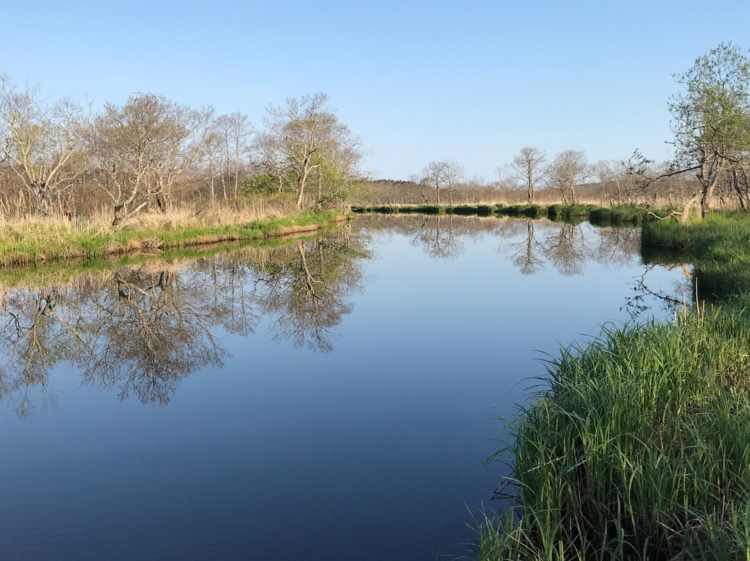 Bekkanbeushi Wetland-厚岸町必去景点