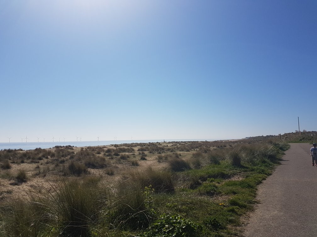 Caister-on-Sea Beach景点图片