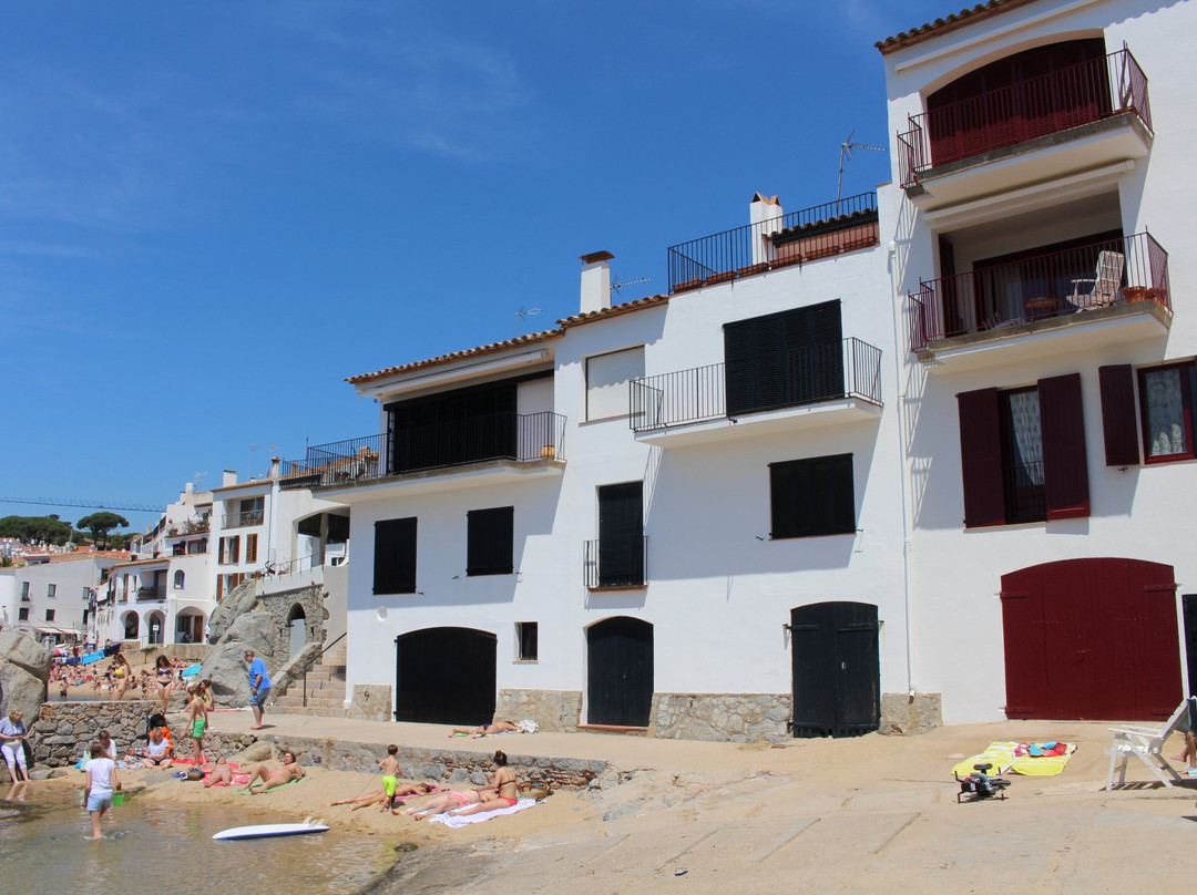 Platja Port Bo景点图片