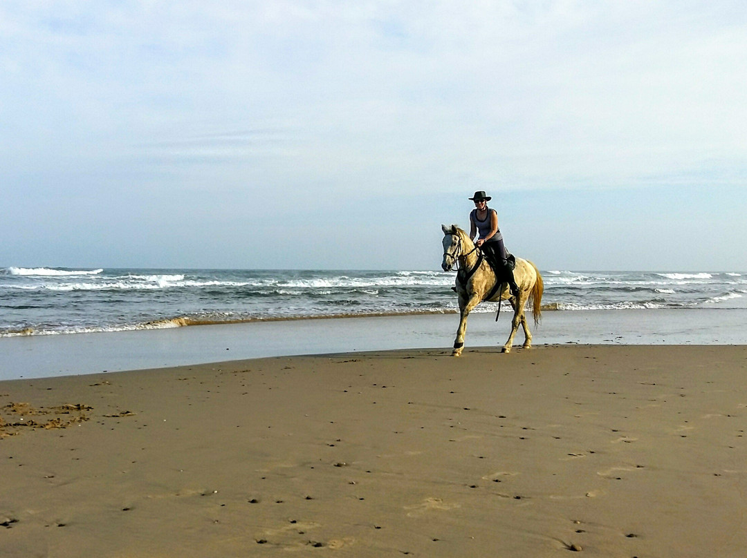 Wild Coast Horse Riding Adventures景点图片