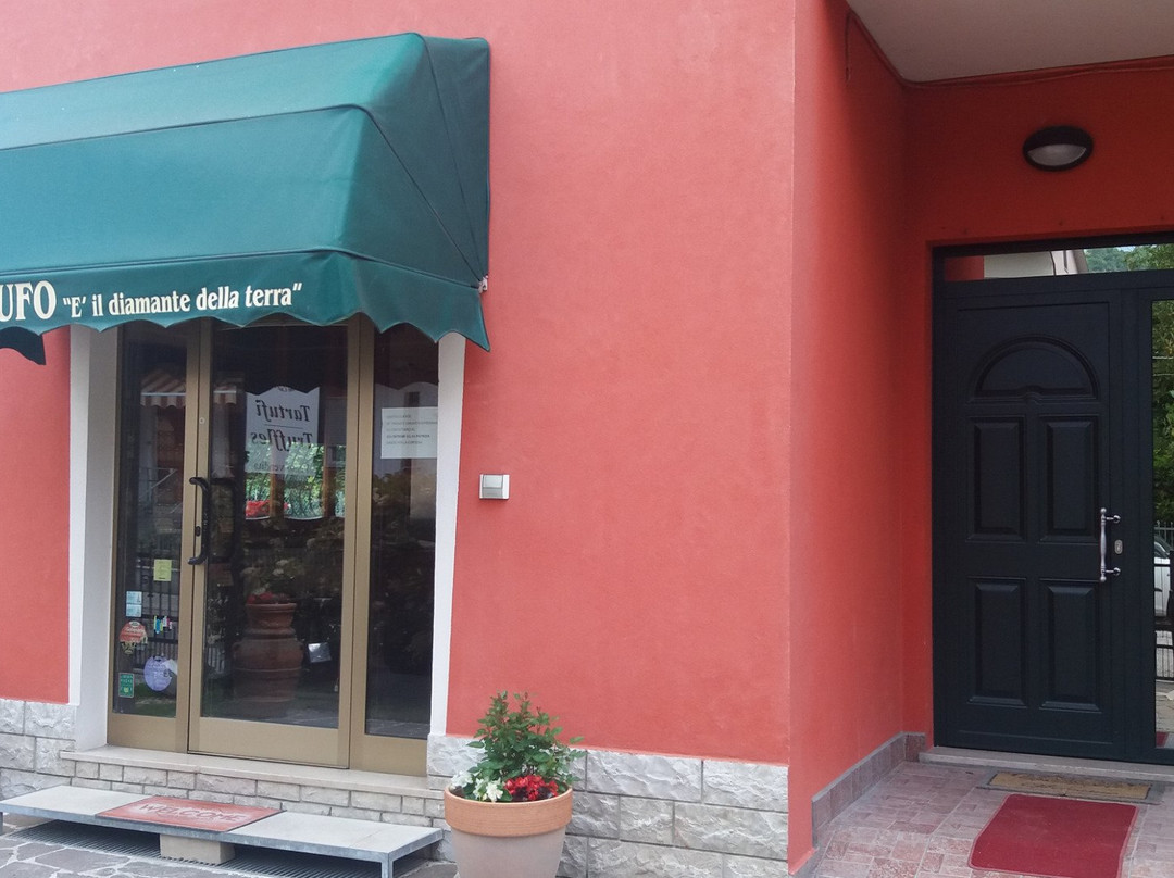 Tartufi di Acqualagna - Truffle Tasting and Shop-Acqualagna必去景点