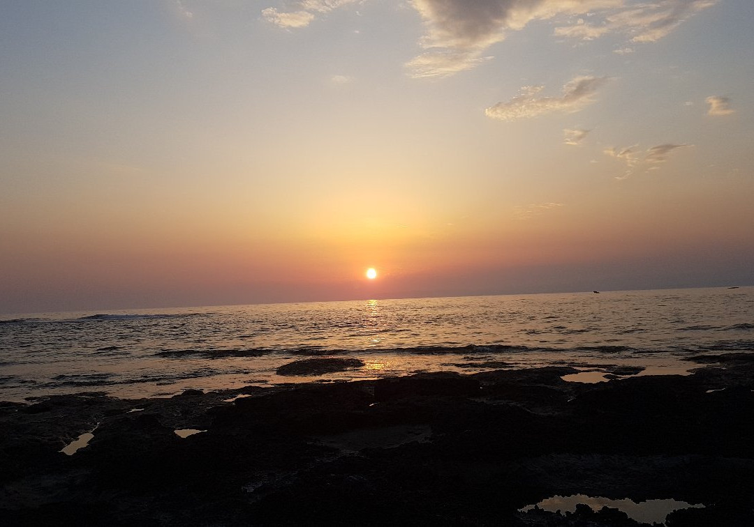 Akrotiri Marsh-Akrotiri必去景点