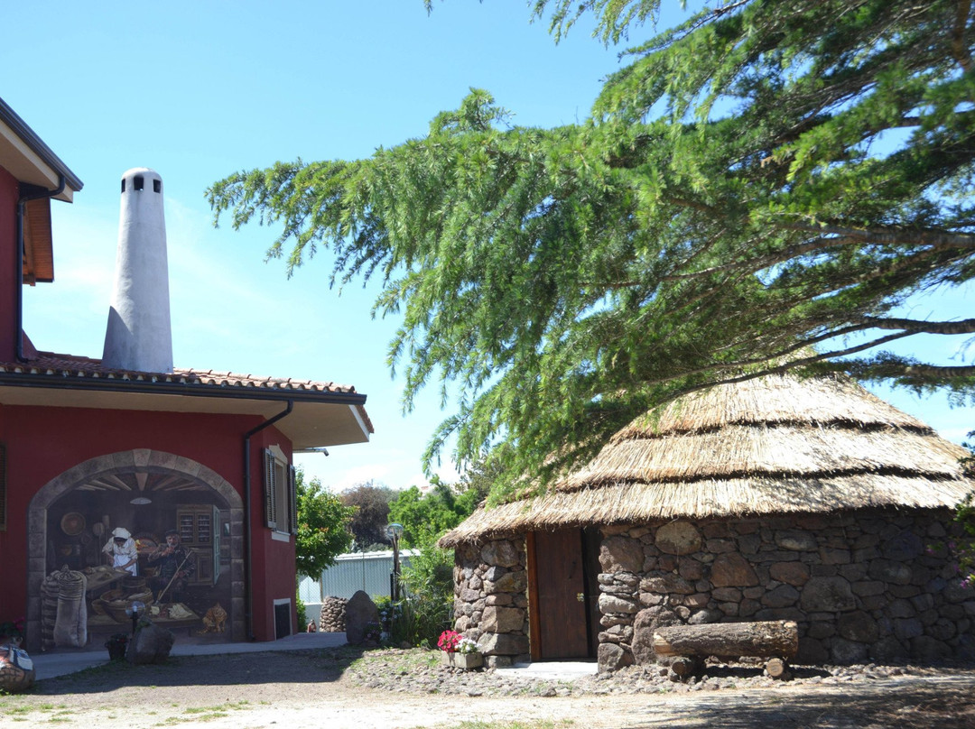 B&B Antica Botte Sassari主图