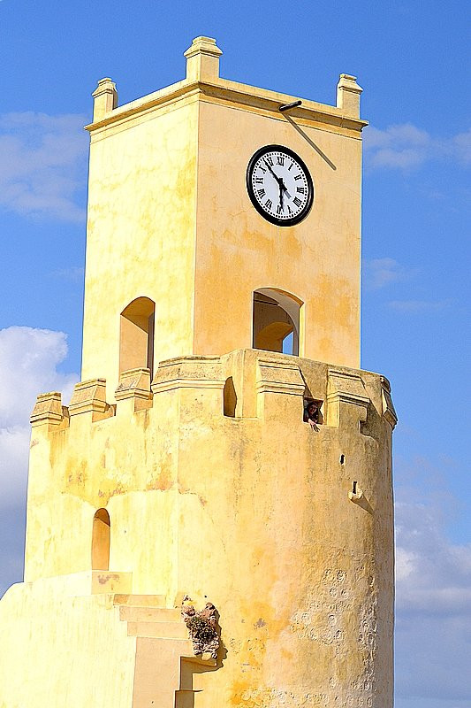 Torre do Relógio景点图片